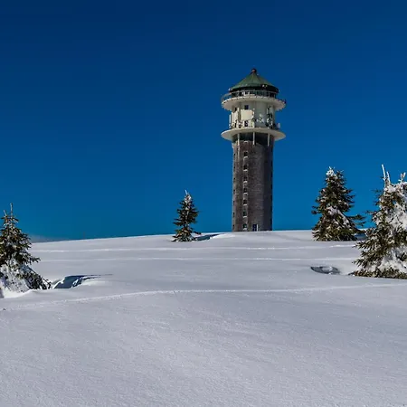 Matz, Feldberg, Hochschwarzwald *