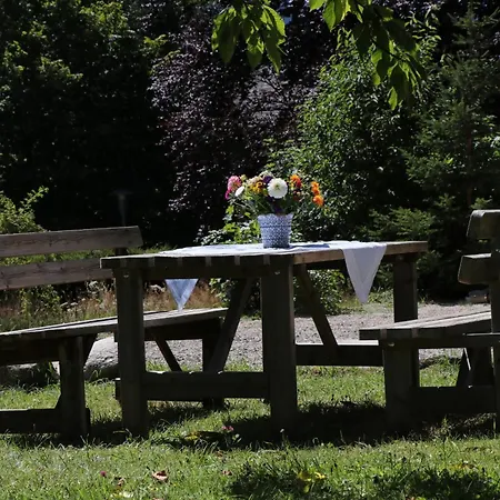 Matz, Feldberg, Hochschwarzwald Falkau