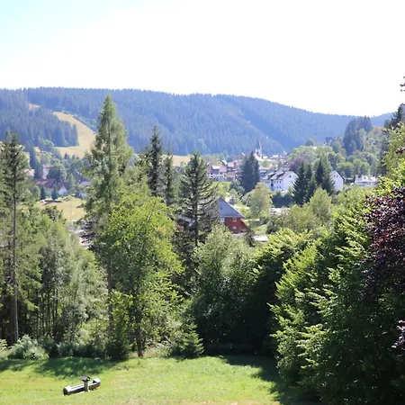Matz, Feldberg, Hochschwarzwald *